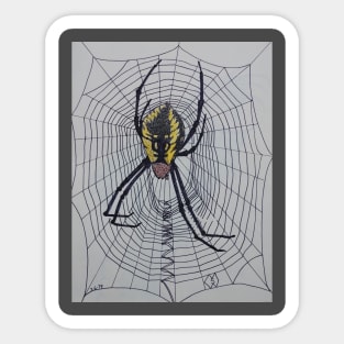 Spider Web Sticker